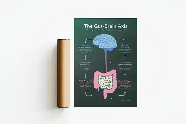 Gut-brain poster